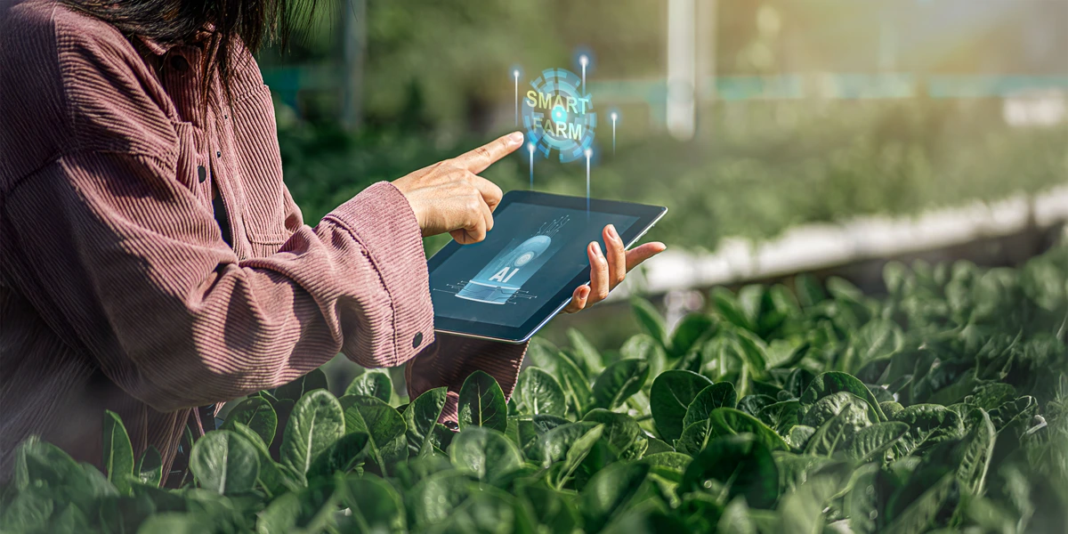 Use of AI in agriculture
