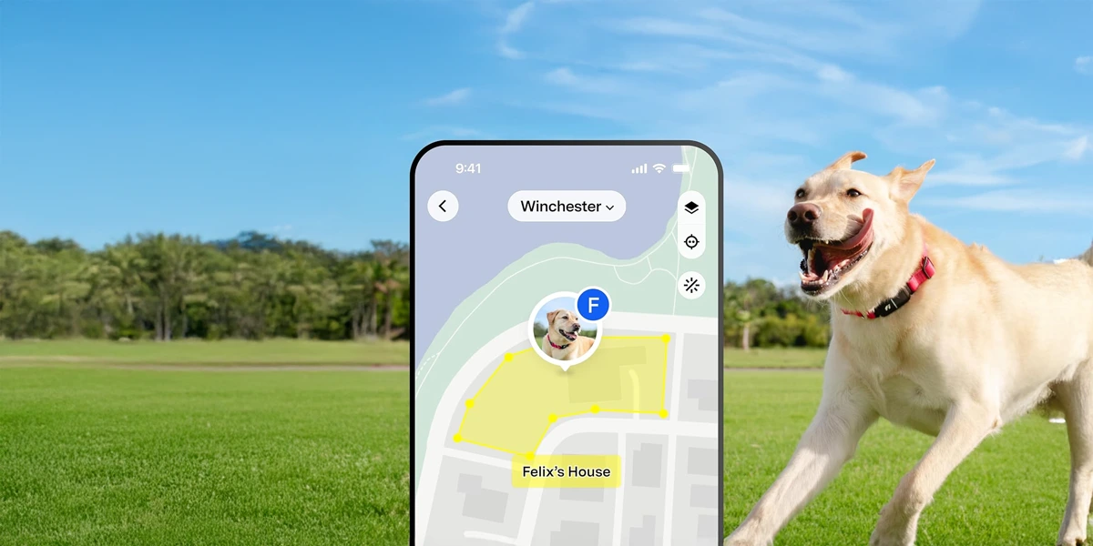 AI Devices for Pet Care
